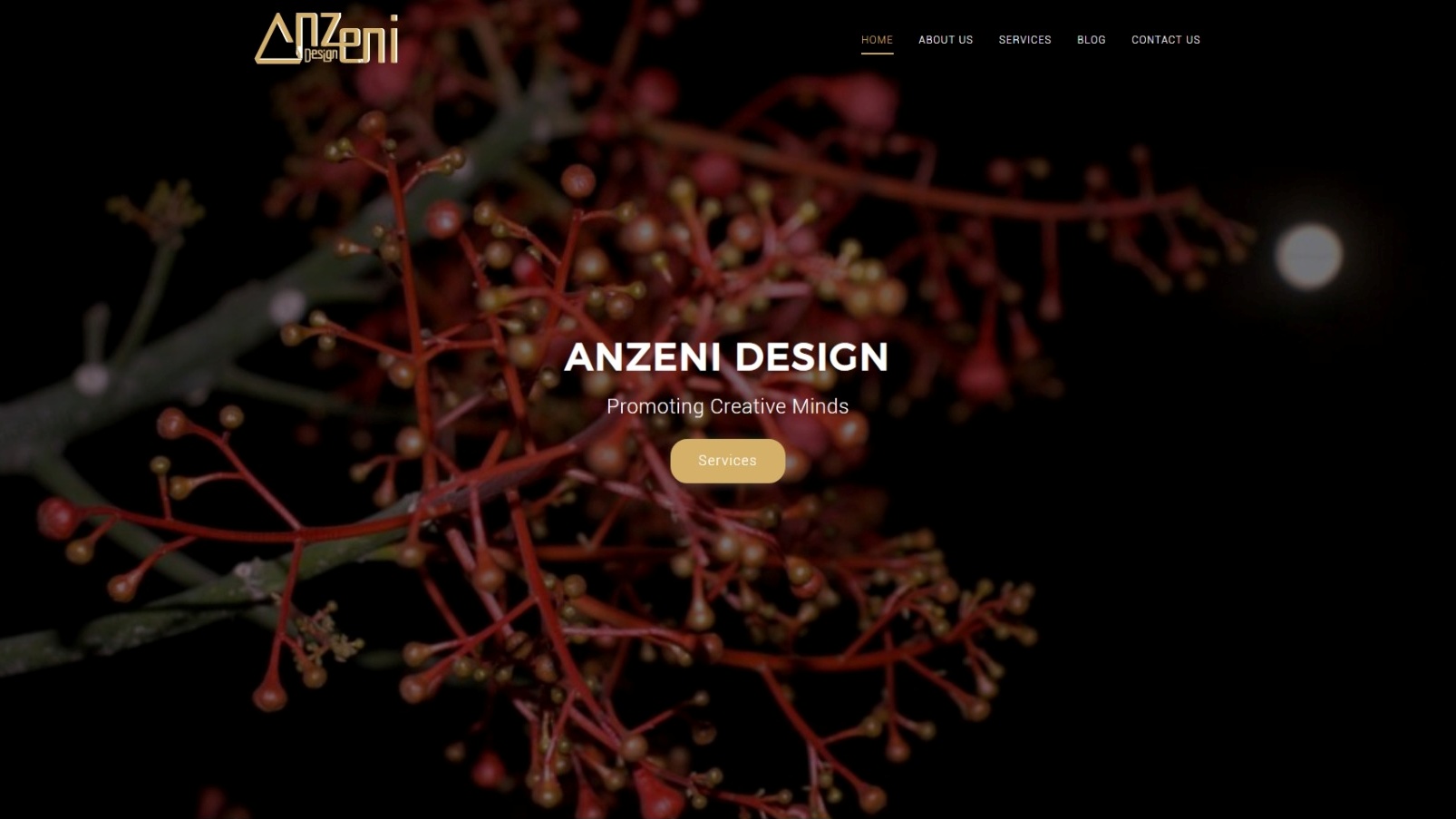 anzeni design website